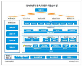 中国城市大数据市场报告,中兴 浪潮 四方伟业 美林 明略 数字冰雹技术市场分析