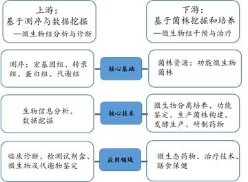 北拓研究 肠道菌群行业研究报告